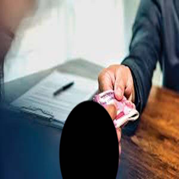 پتوکی میونسپل کمیٹی میں رشوت خوری عروج پر  